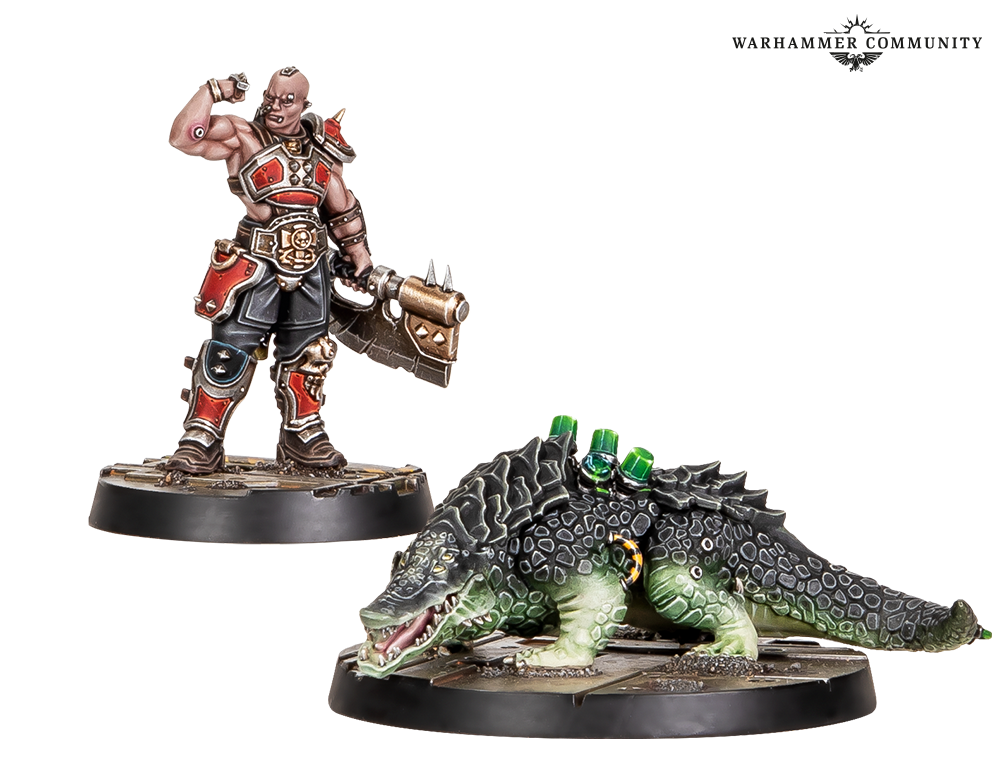 A Goliath Unborn miniature with visible surgical scarring and augmetic tubing